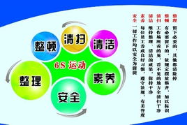 6S活动在教育培训与国内教育信息咨询中的应用与推广